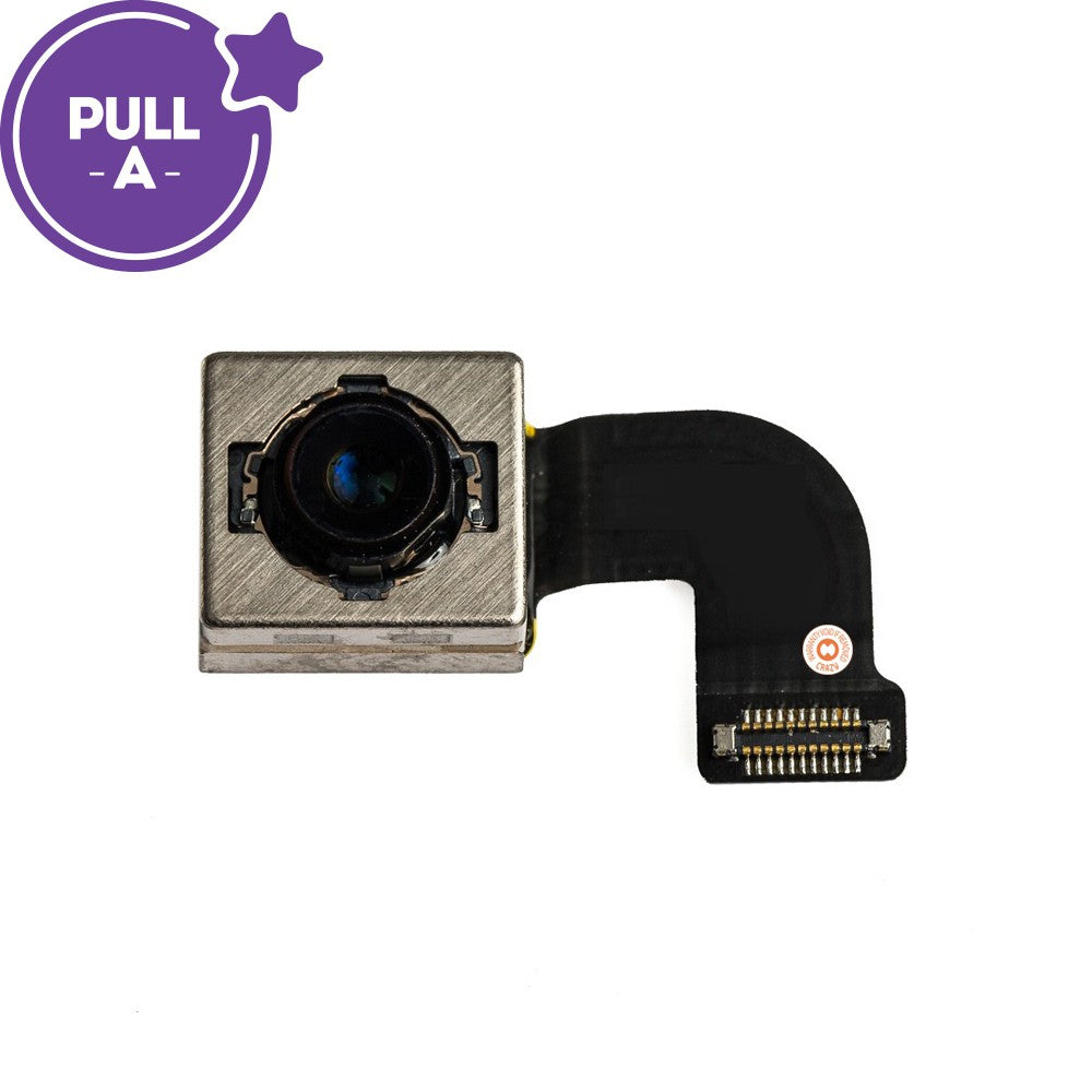 Rear Camera with Flex Cable for iPhone 7 (Purple) Rear Camera with Flex Cable for iPhone 7 (Purple)